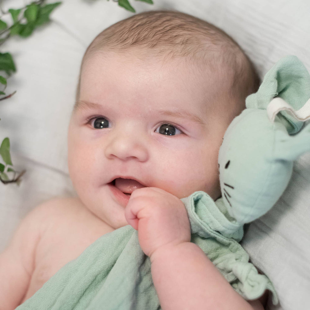 Doudou lapin en coton bio vert camée – Bientôt disponible