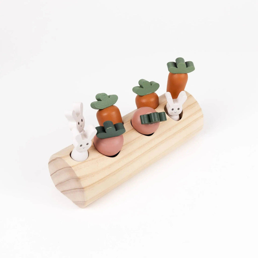 Journal du jardin — Lapin et légumes
