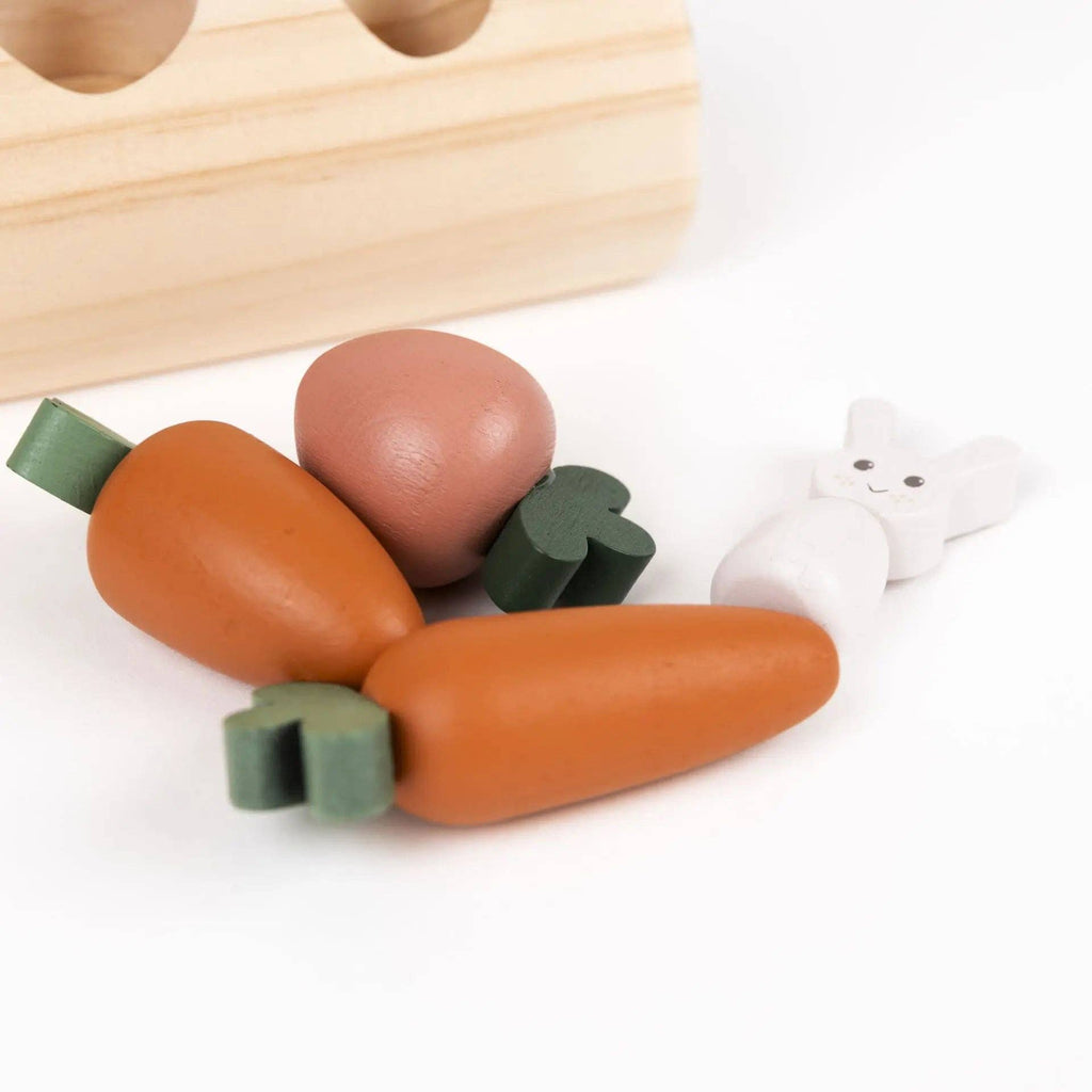 Journal du jardin — Lapin et légumes