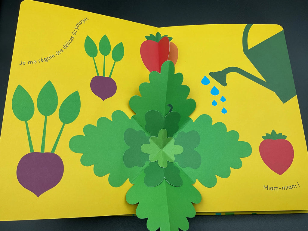 Mon jardin secret en pop-up – Livre animé sur la nature