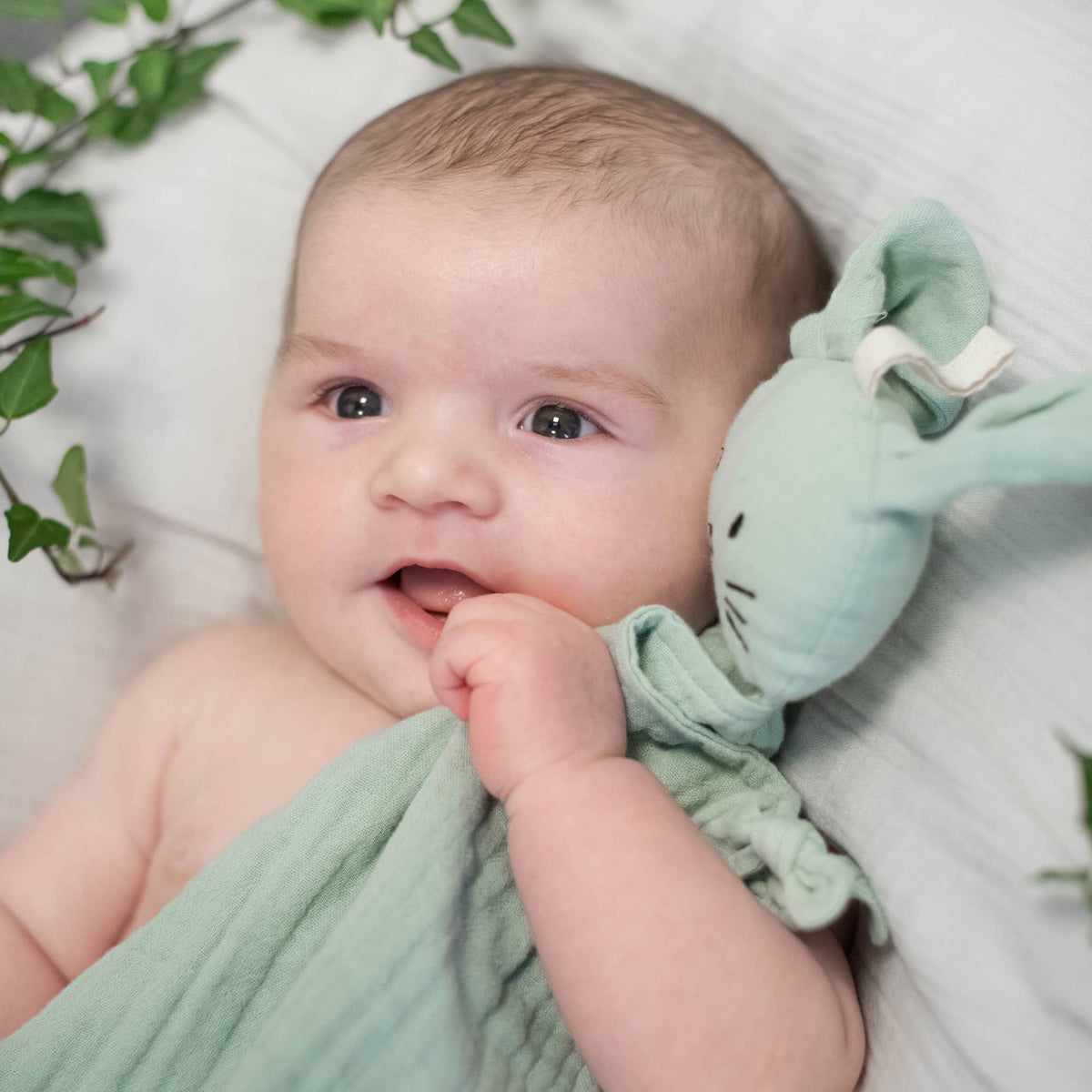 Doudou lapin en coton bio vert camée – Bientôt disponible