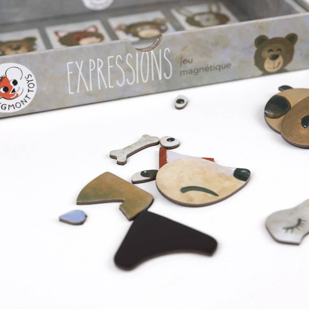 Jeu magnétique d'expressions