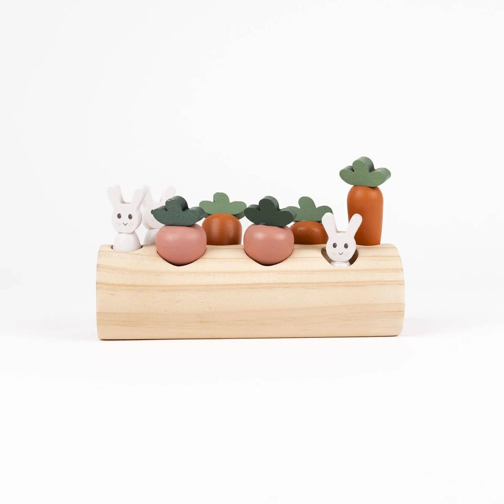 Journal du jardin — Lapin et légumes