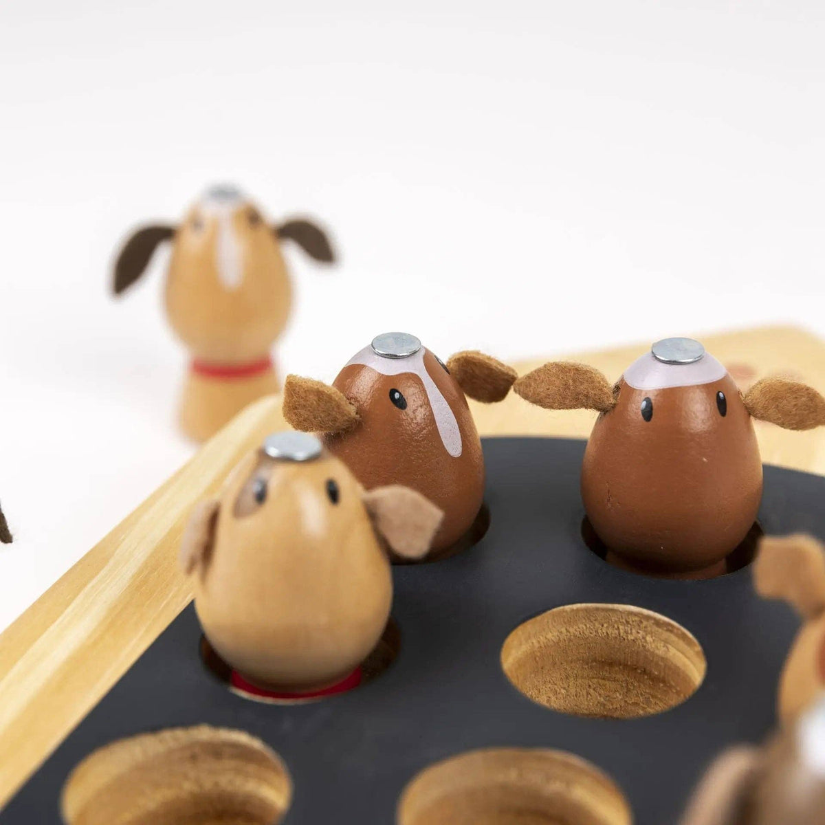 Chiens de pêche