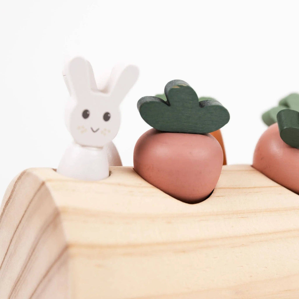 Journal du jardin — Lapin et légumes