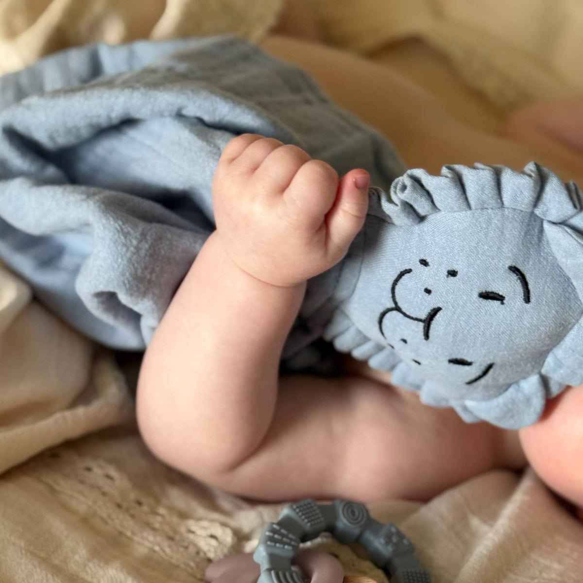 Doudou lion en coton bio bleu poudré – Bientôt disponible