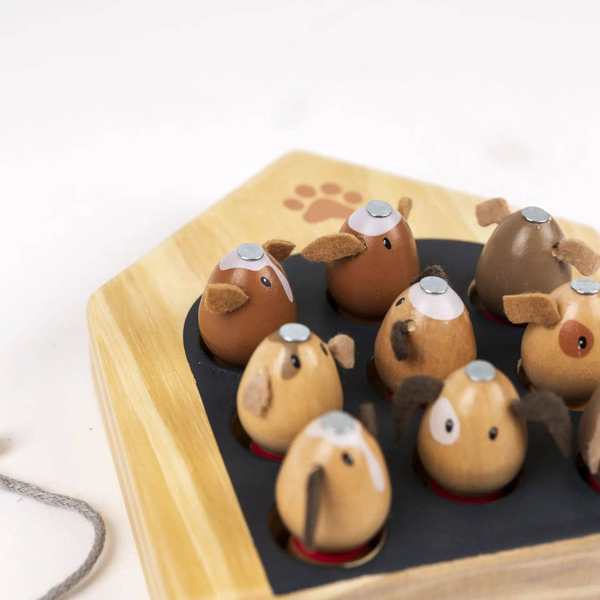 Chiens de pêche