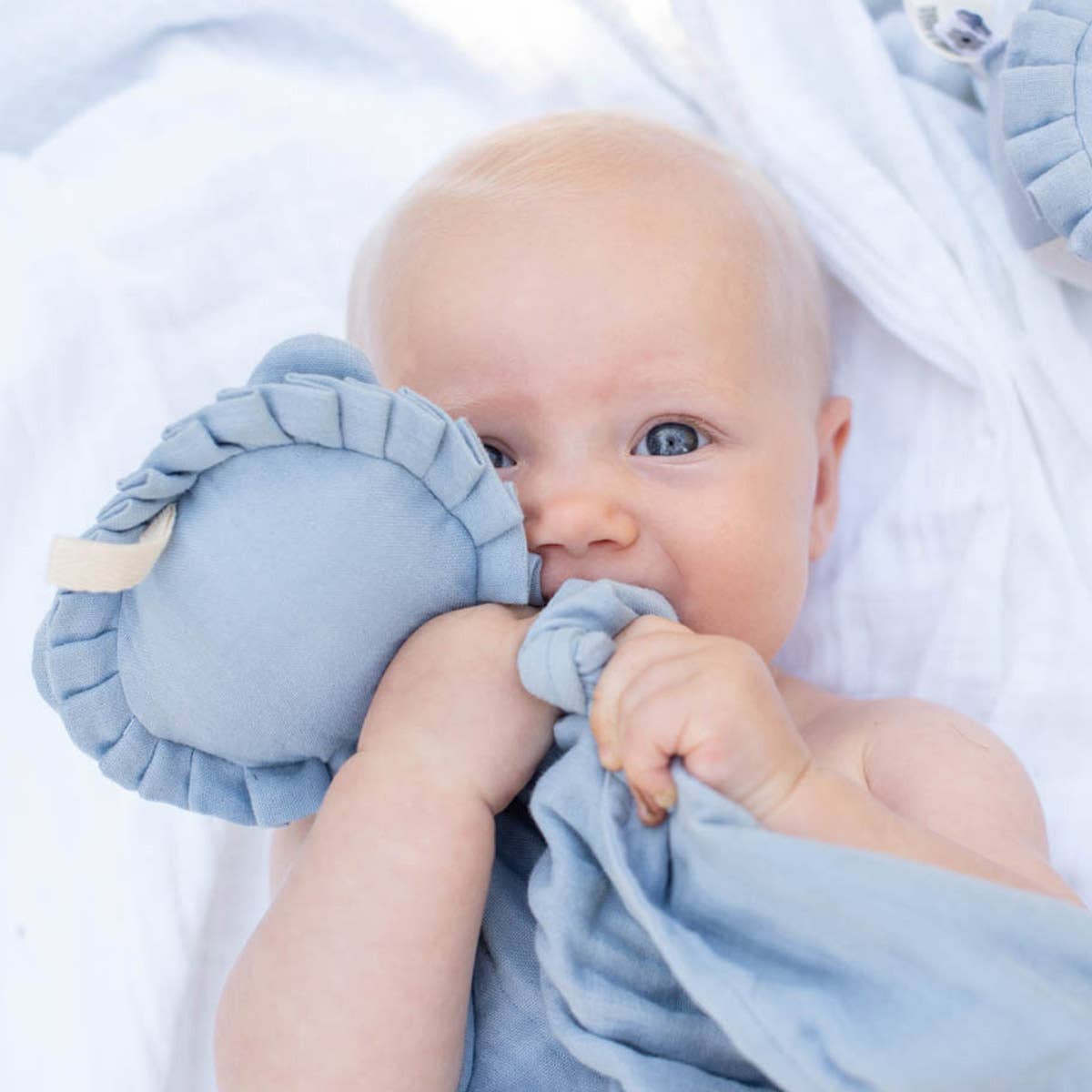 Doudou lion en coton bio bleu poudré – Bientôt disponible