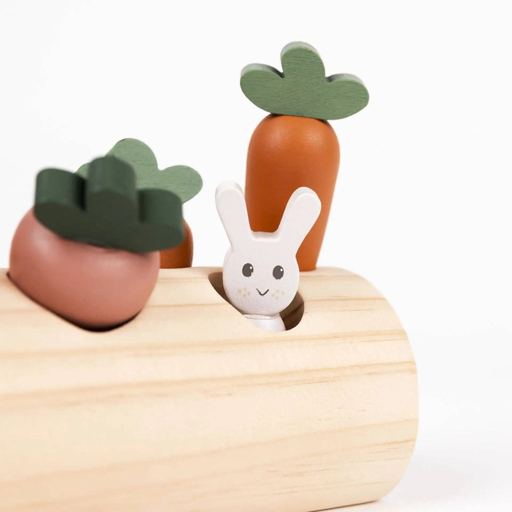 Journal du jardin — Lapin et légumes