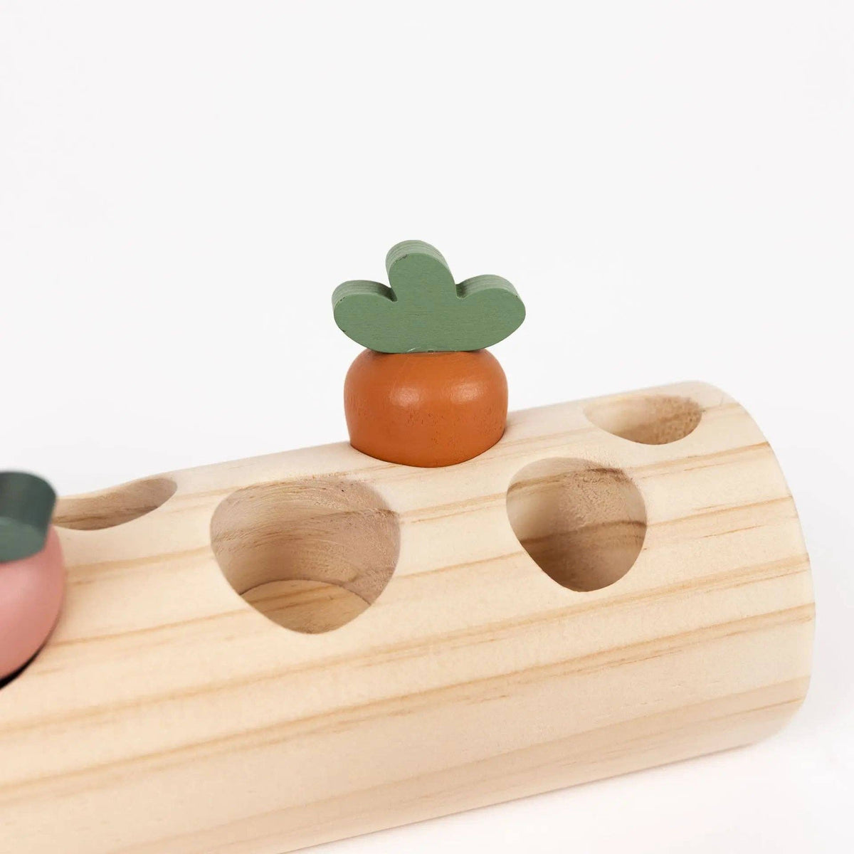 Journal du jardin — Lapin et légumes