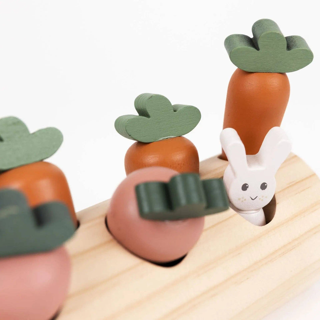 Journal du jardin — Lapin et légumes