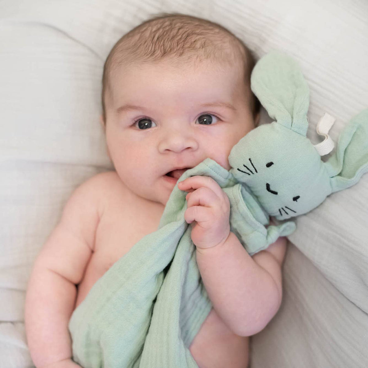 Doudou lapin en coton bio vert camée – Bientôt disponible